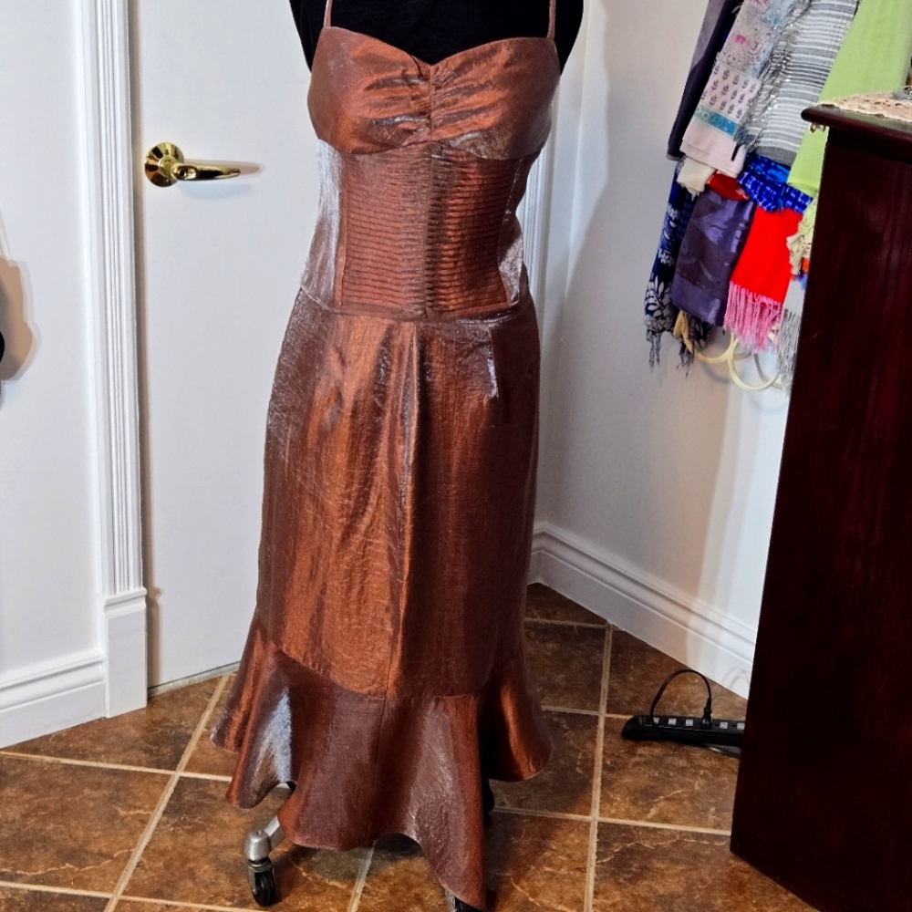 Elegant Pink & Brown Metallic Top Corset Dress| Skirt |Evening Set